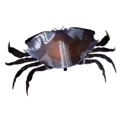 CRAB SOLID UNDER 10"
