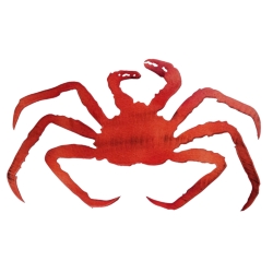 KING CRAB RED 18"