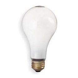 ROUGH SERVICE LAMP 75W (D)