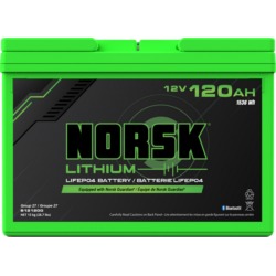 LIFEPO4 BATT 12V 120AH G27