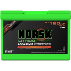 LIFEPO4 BATT 12V 120AH START G31