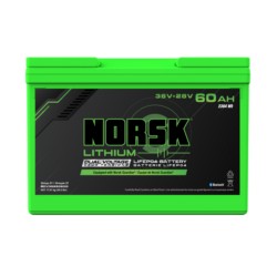 LIFEPO4 BATT 36+28V 60AH G31