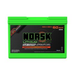 LIFEPO4 BATT 36+28V 60AH HEATG31