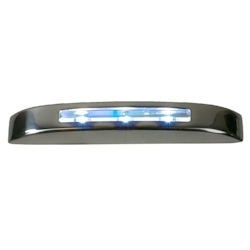 DLX COURTESY LIGHT LED BL/SS LG