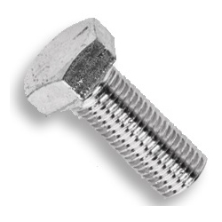1/2"x3/4" SS FINE CAP SCREW