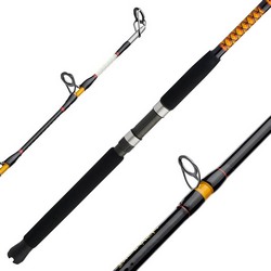 BIGWATER SPINNING ROD H 12' 2PC