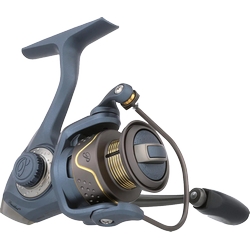 PFLUEGER PRESIDENT 25 SPIN REEL