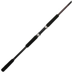 BIGWATER SPIN ROD MH 9' 2PC (D)
