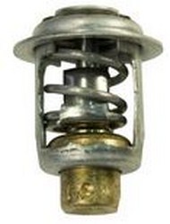 THERMOSTAT MERCURY