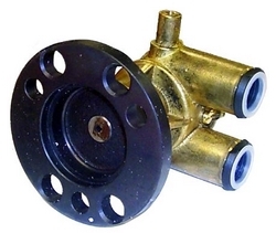 RAW WATER PUMP