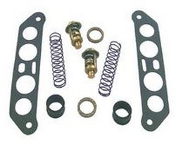 THERMOSTAT KIT OMC