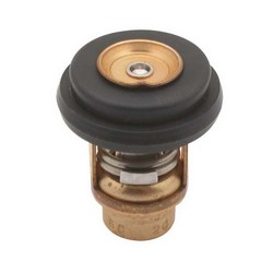 THERMOSTAT KIT