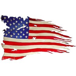 AMERICAN FLAG (D)