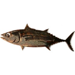 MAGNET TUNA