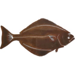 MAGNET HALIBUT