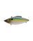 CRANKBAIT SEXY SHAD 3" 1/2oz