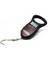 DIGITAL FISH SCALE 50#