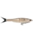 POWERBAIT NESSIE BAITS 9"