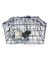 CRAB TRAP COMBO WITH DELUXE FTC, BAIT BAG, SINKING LINE, FLOAT & HARNESS