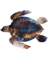 TURTLE 1"x13.5"
