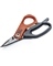 ELECTRICIAN SHEARS TITANM COATED