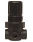 REGULATOR W/GAUGE 1/4" 15CFM
