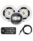 GAUGE RECEIVER W/2 SPEAKERS