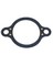 THERMOSTAT GASKET UNIVERSAL