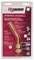 P-10 PENCILTIP PROPANE TORCH