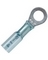 CLEAR SEAL STANDARD RINGS