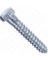 1/2"x10" GALVANIZED LAG SCREW