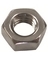 SS HEX NUTS PKGD
