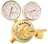 DIAPHRAGM REGULATORS