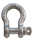 SCREW PIN ANCHOR SHACKLE 1/4"