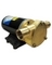 BALLAST KING PUMPS