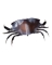 CRAB SOLID UNDER 10"