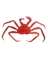 KING CRAB RED 18"