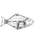 TRIBAL HALIBUT BLACK 20-1/2"