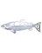 TRIBAL SALMON 21"