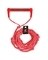 AIRHEAD WAKESURF ROPE RED 25'