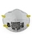 PARTICULATE RESPIRATOR DISP