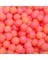 FISH PILL STRAWBRY SHORTCAKE #1