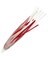 TRIPLE SKIRT RED/WH GLOW (5PK)