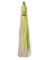 S.R. SQUID WH/YL GR STRIPE 9.5"