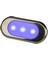 COURTESY LIGHT LED BLUE SS (CO)