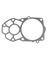 WATER PUMP GASKET (D)