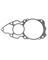 WATER PUMP GASKET