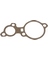 GASKET (2/PK)