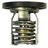 THERMOSTAT MERCURY