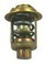 THERMOSTAT MERCURY